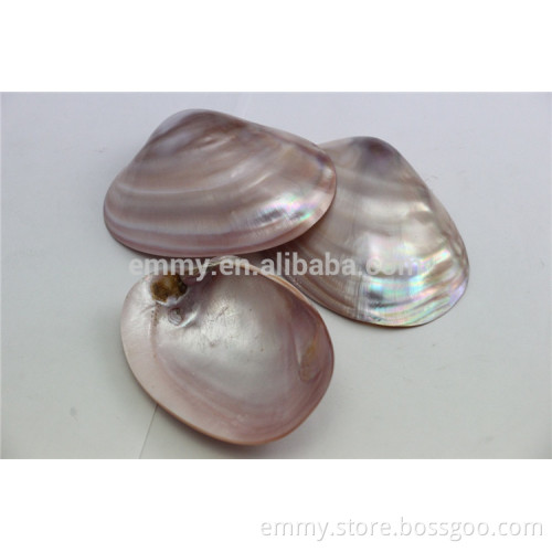 original sea shell pink mother of pearl manufacturer